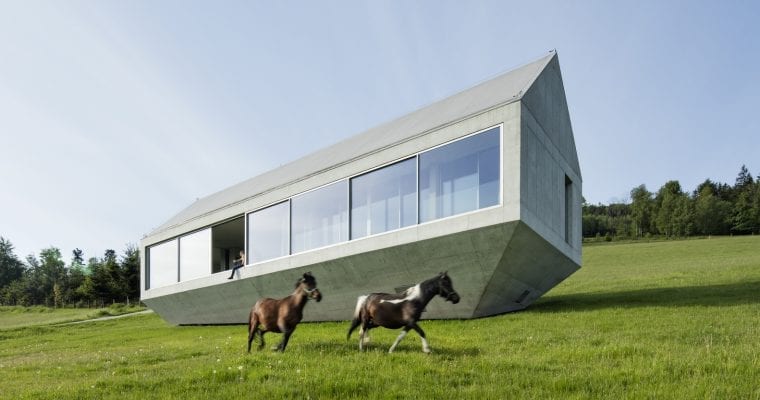 Konieczny’s Ark 1